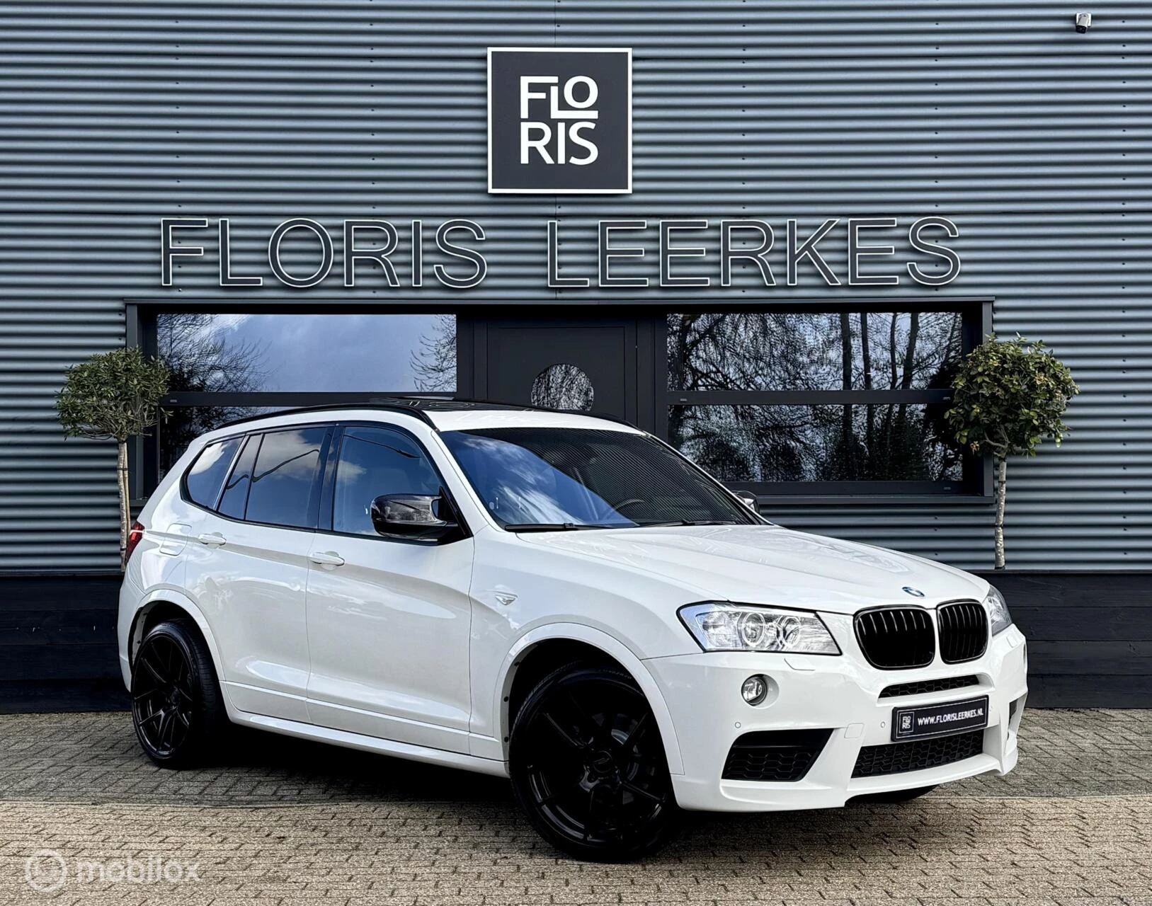 Hoofdafbeelding BMW X3