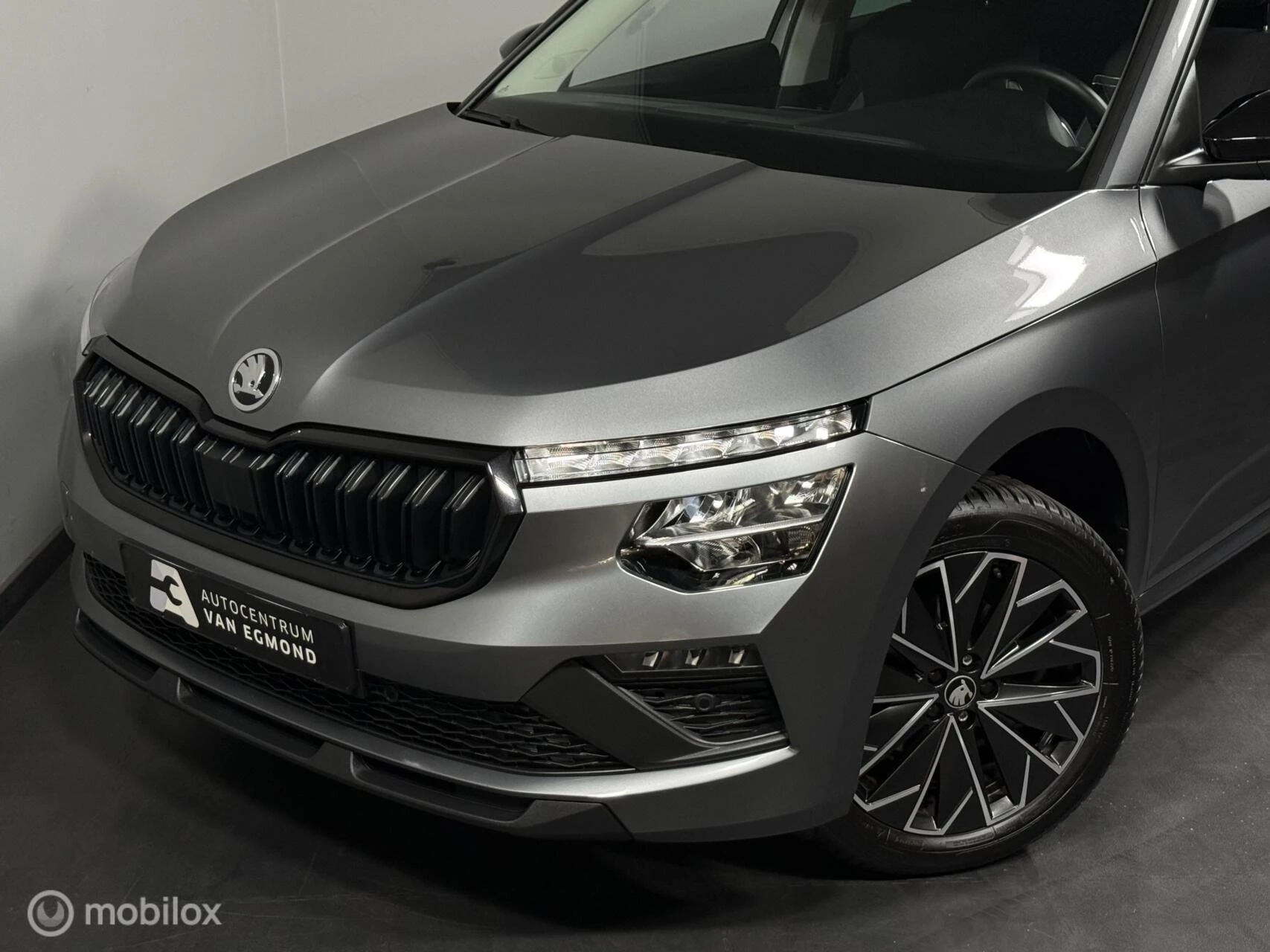 Hoofdafbeelding Škoda Kamiq