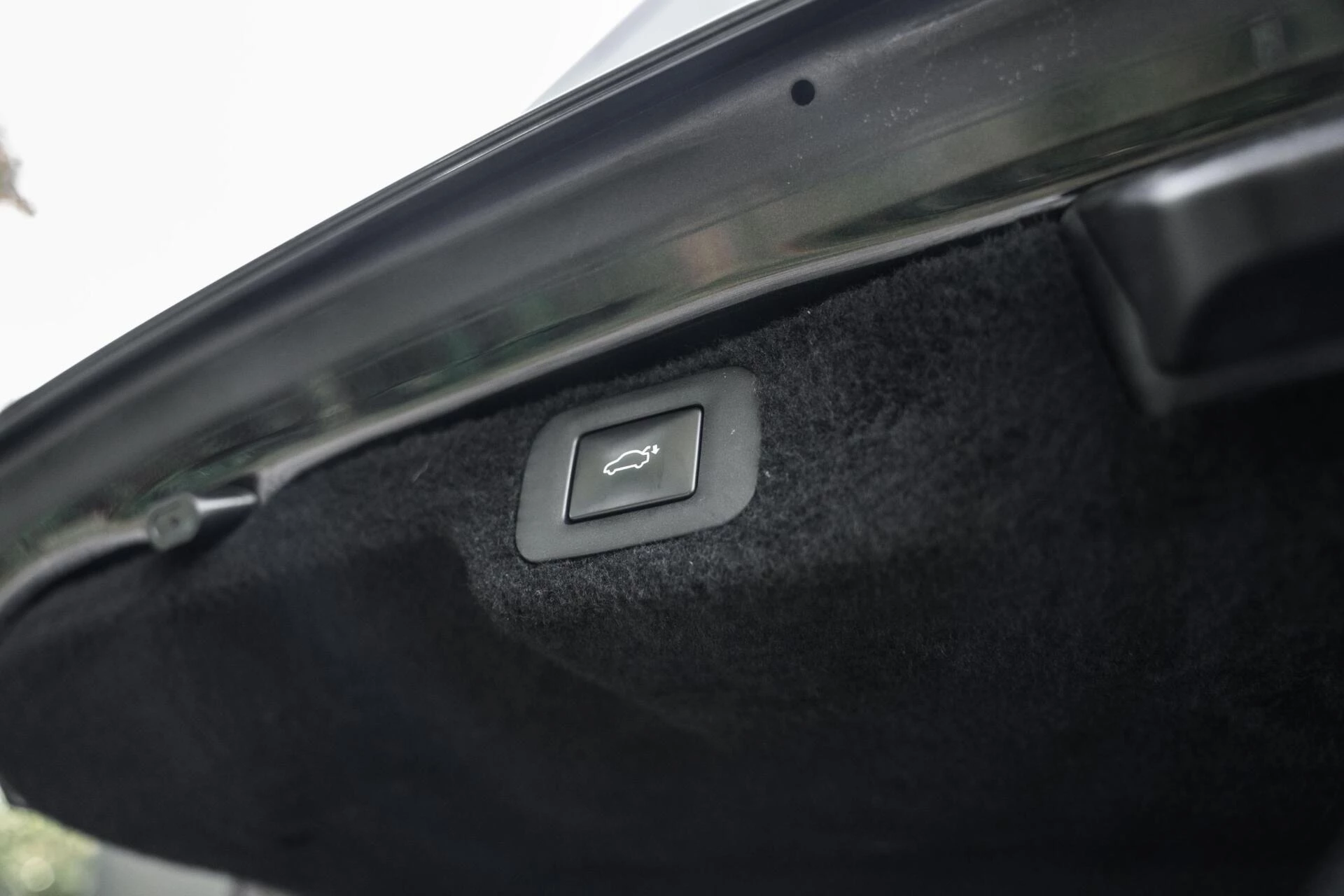 Hoofdafbeelding Lexus LS