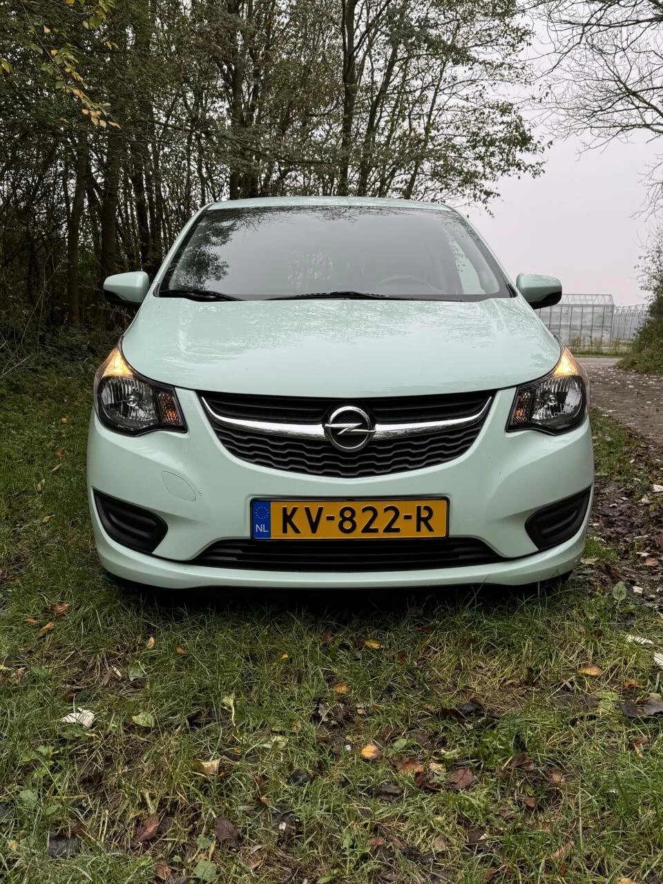 Hoofdafbeelding Opel KARL