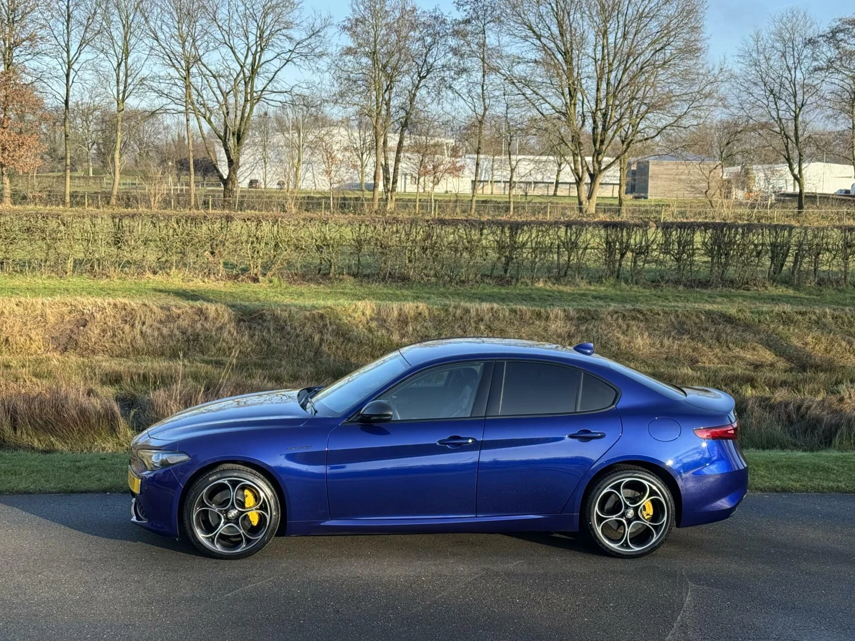 Hoofdafbeelding Alfa Romeo Giulia