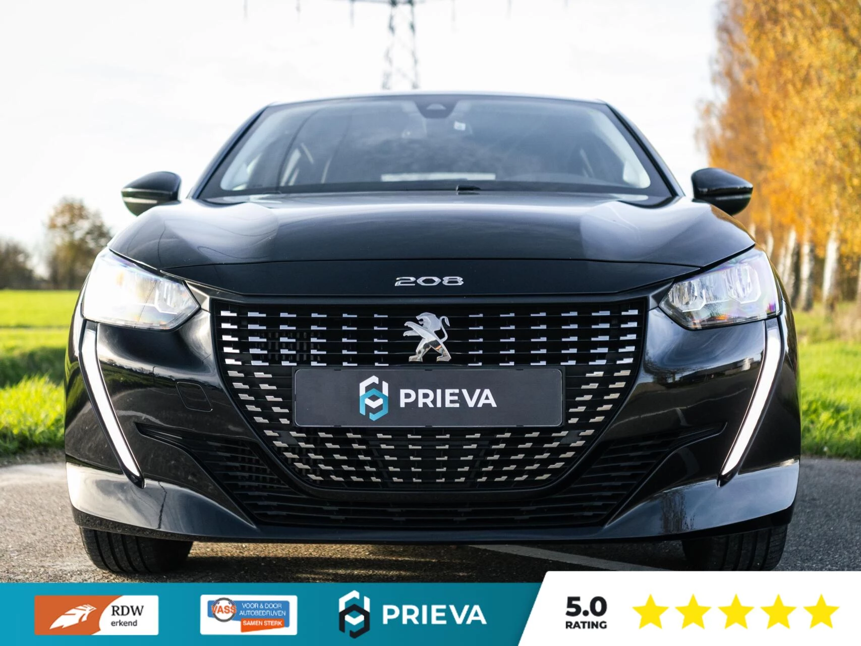 Hoofdafbeelding Peugeot 208