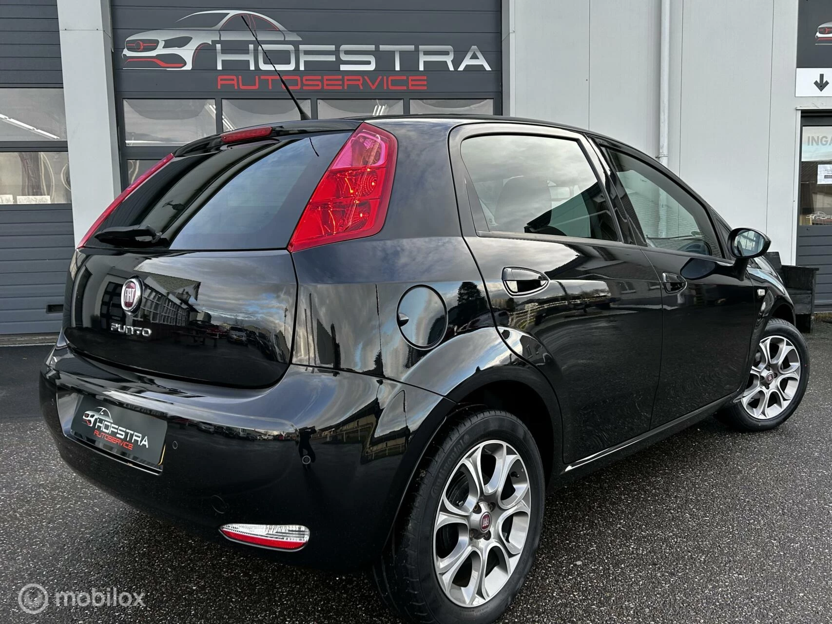 Hoofdafbeelding Fiat Punto