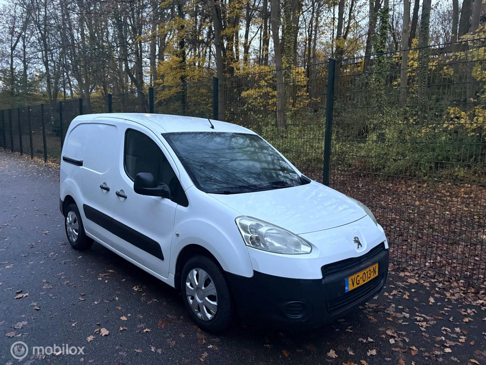 Hoofdafbeelding Peugeot Partner