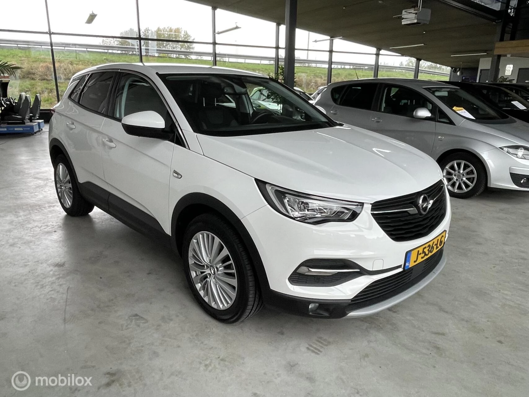 Hoofdafbeelding Opel Grandland X