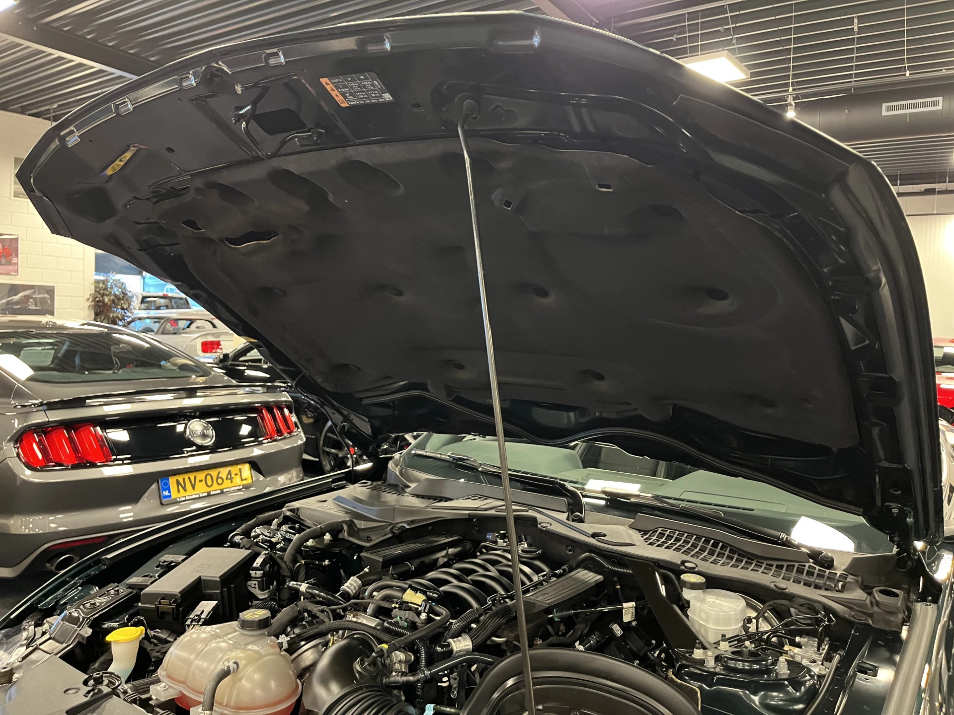 Hoofdafbeelding Ford Mustang