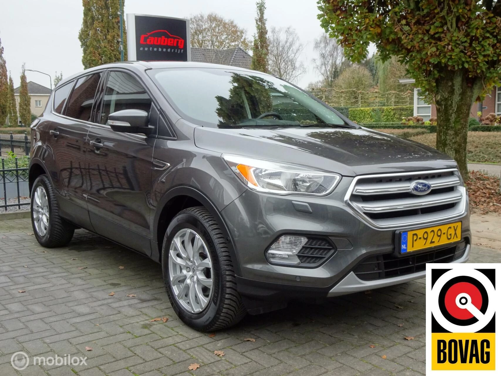 Hoofdafbeelding Ford Kuga