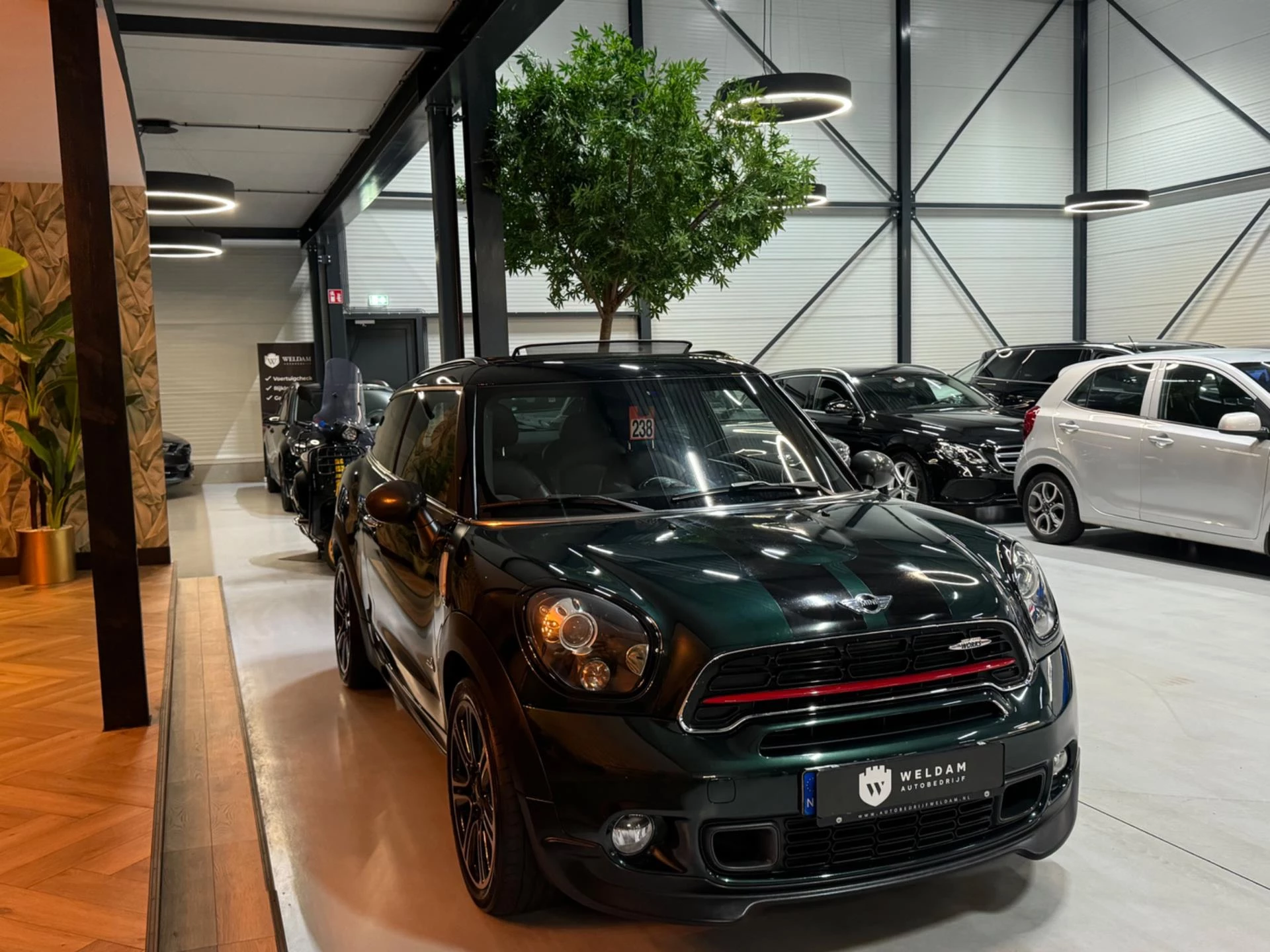 Hoofdafbeelding MINI Paceman