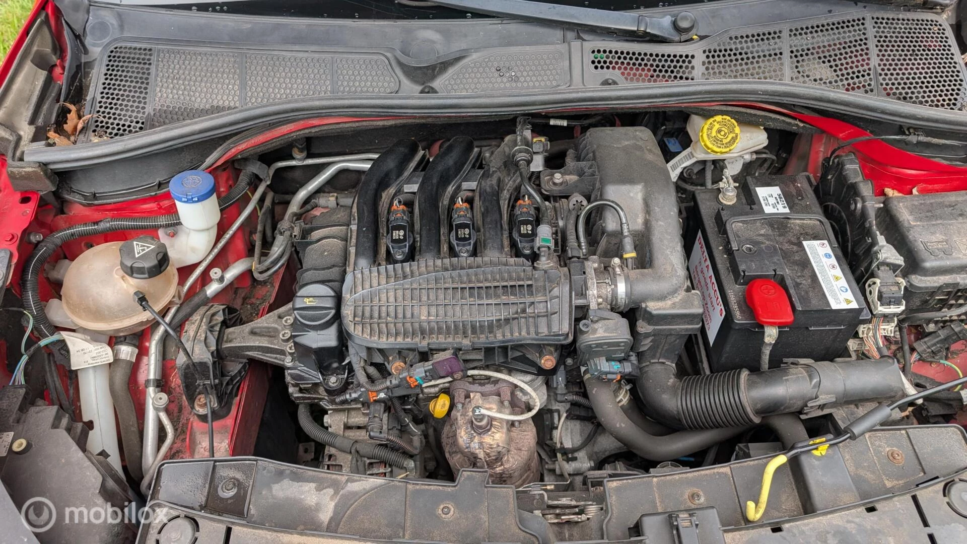 Hoofdafbeelding Citroën C4 Cactus