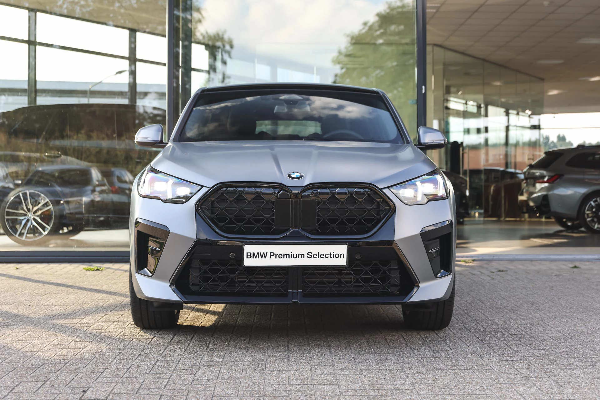 Hoofdafbeelding BMW X2