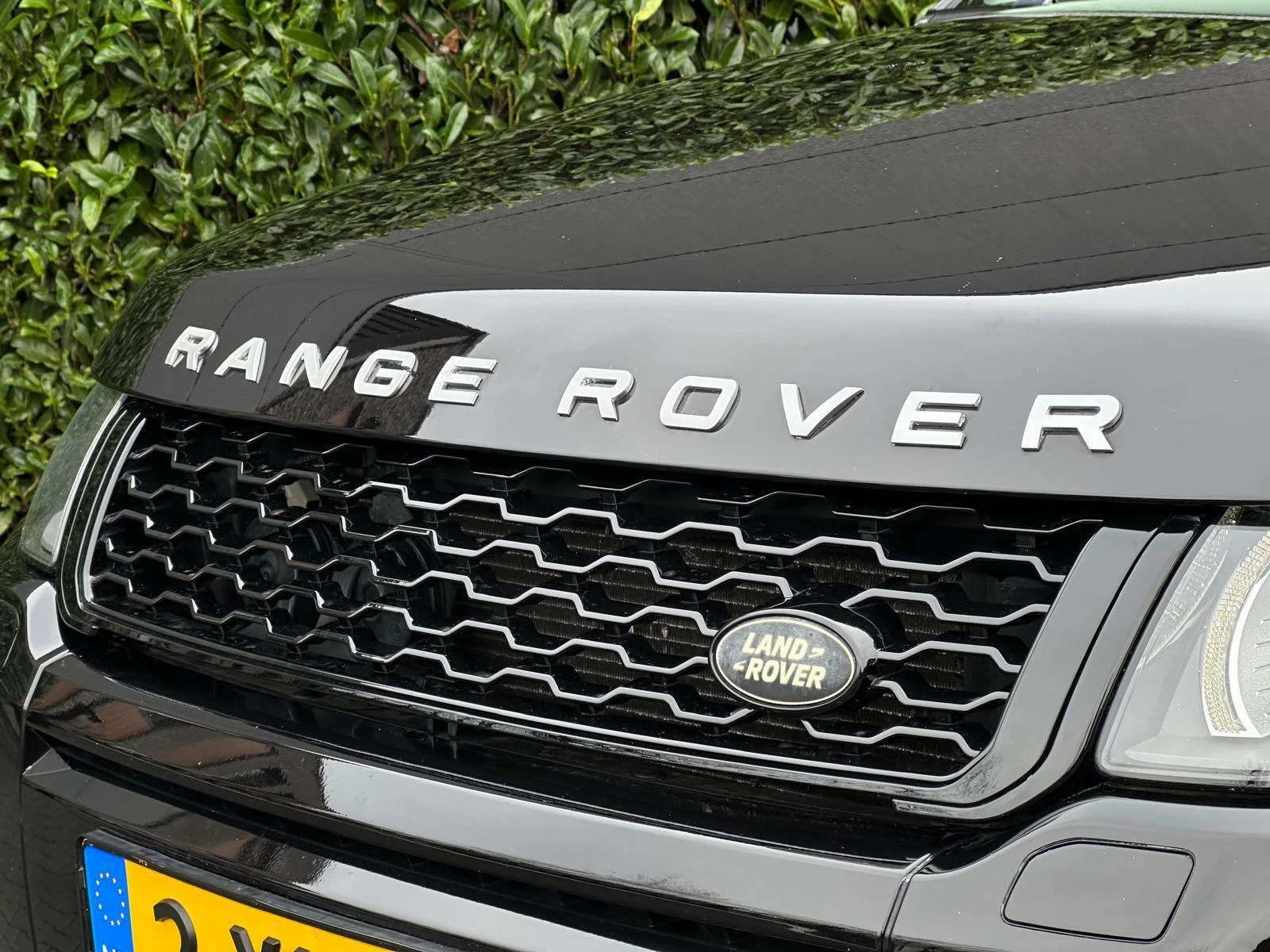 Hoofdafbeelding Land Rover Range Rover Evoque