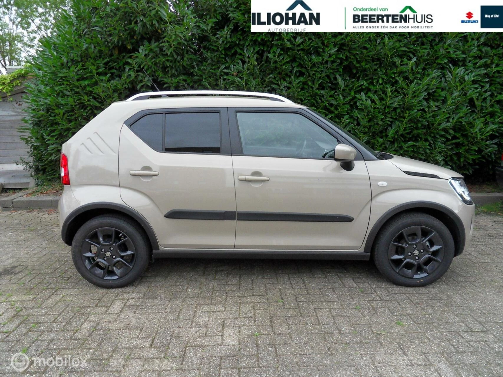 Hoofdafbeelding Suzuki Ignis