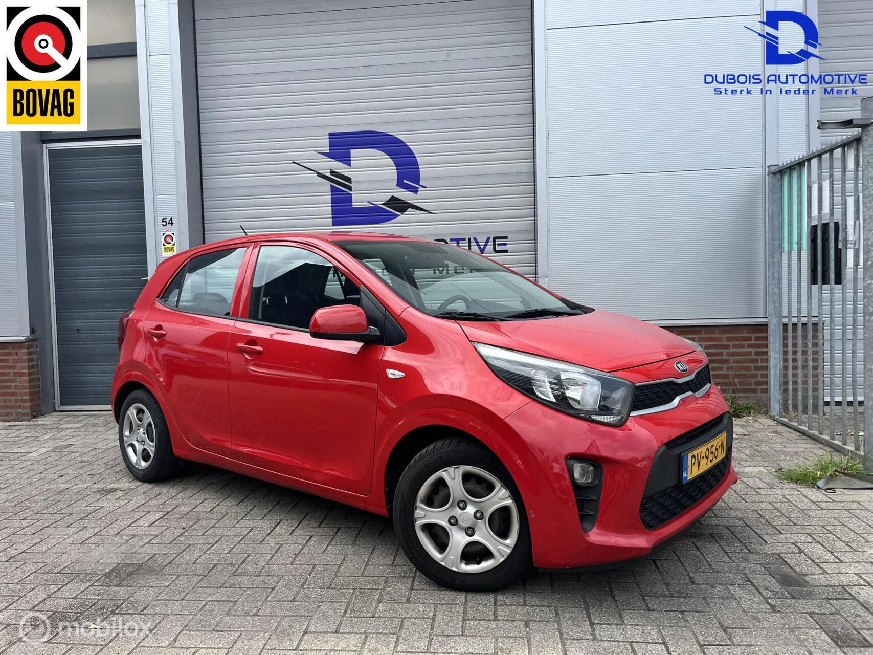 Hoofdafbeelding Kia Picanto