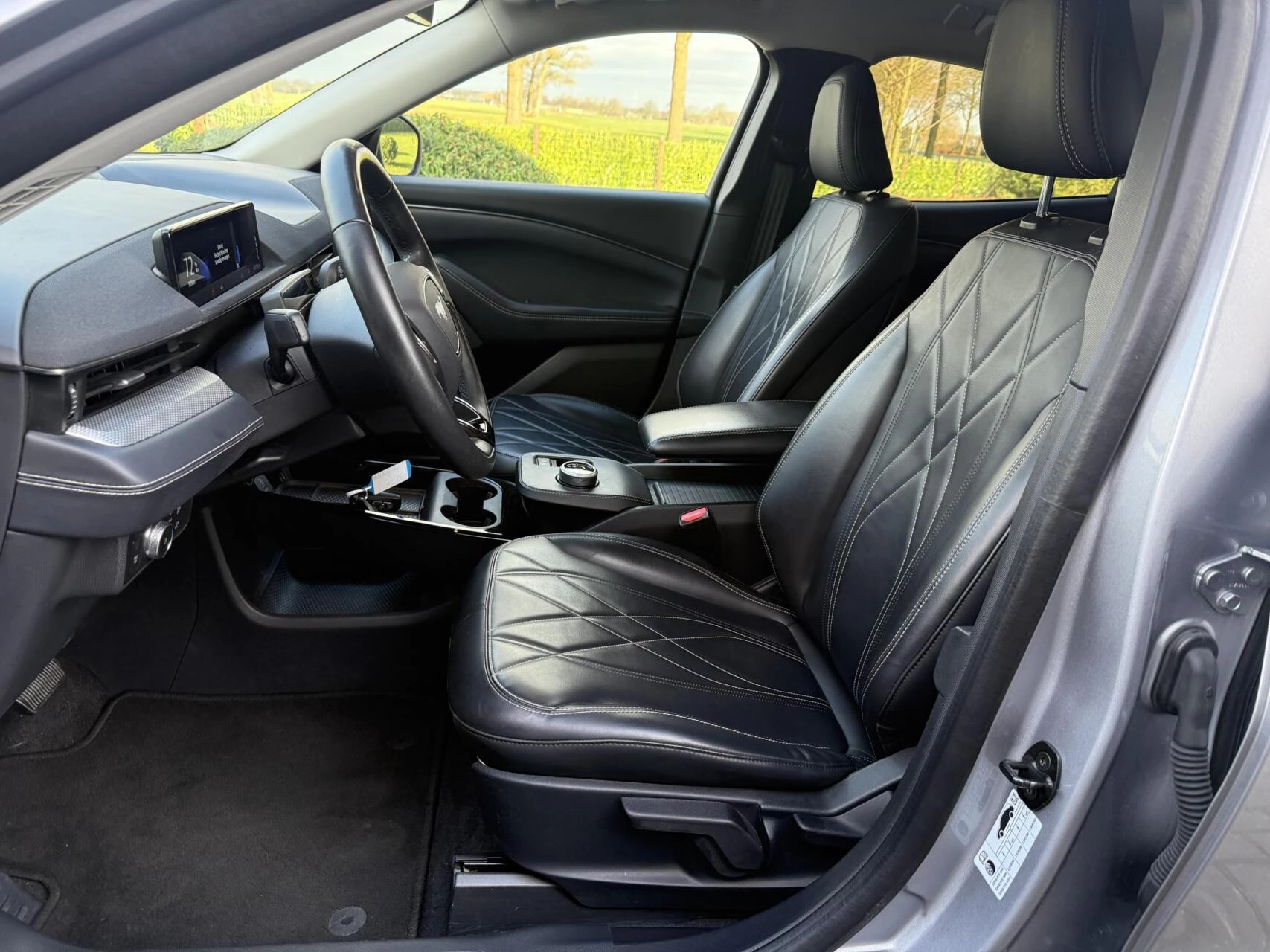 Hoofdafbeelding Ford Mustang Mach-E