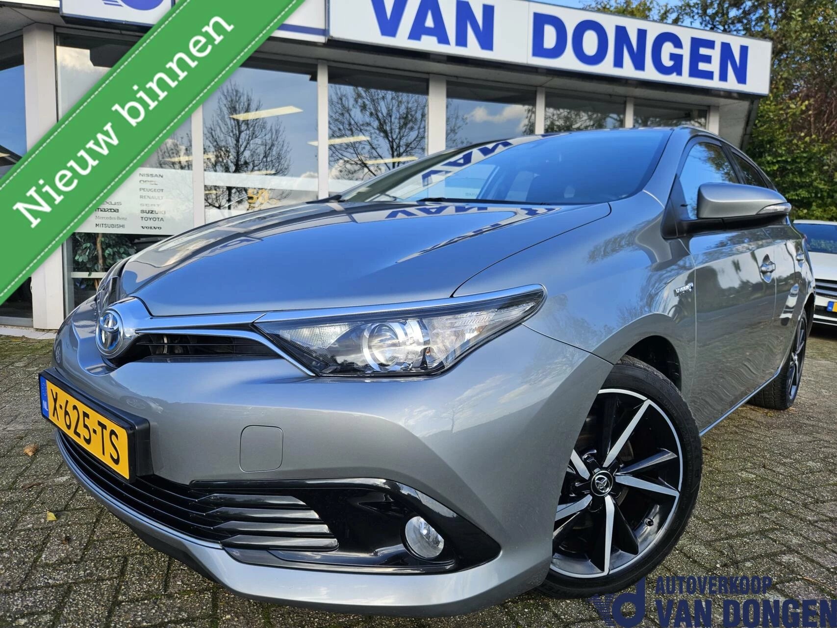 Hoofdafbeelding Toyota Auris