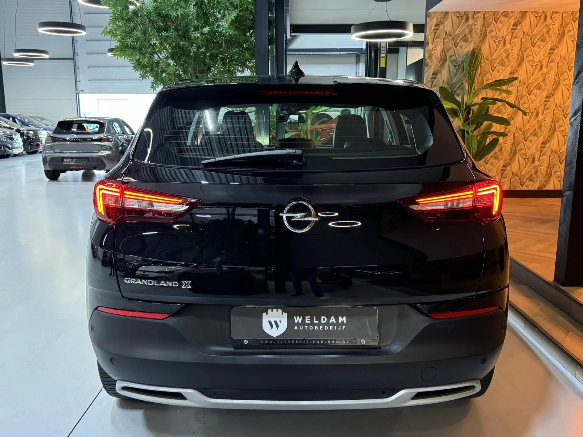 Hoofdafbeelding Opel Grandland X