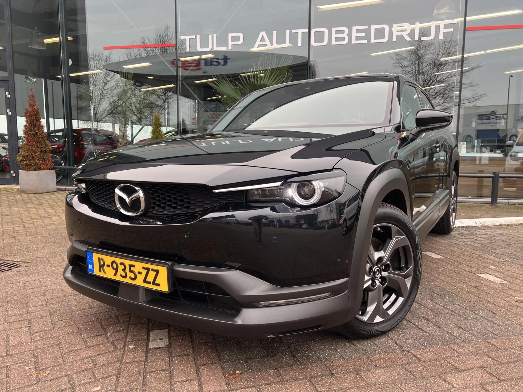 Hoofdafbeelding Mazda MX-30