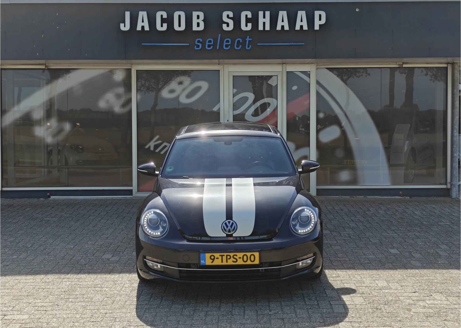 Hoofdafbeelding Volkswagen Beetle