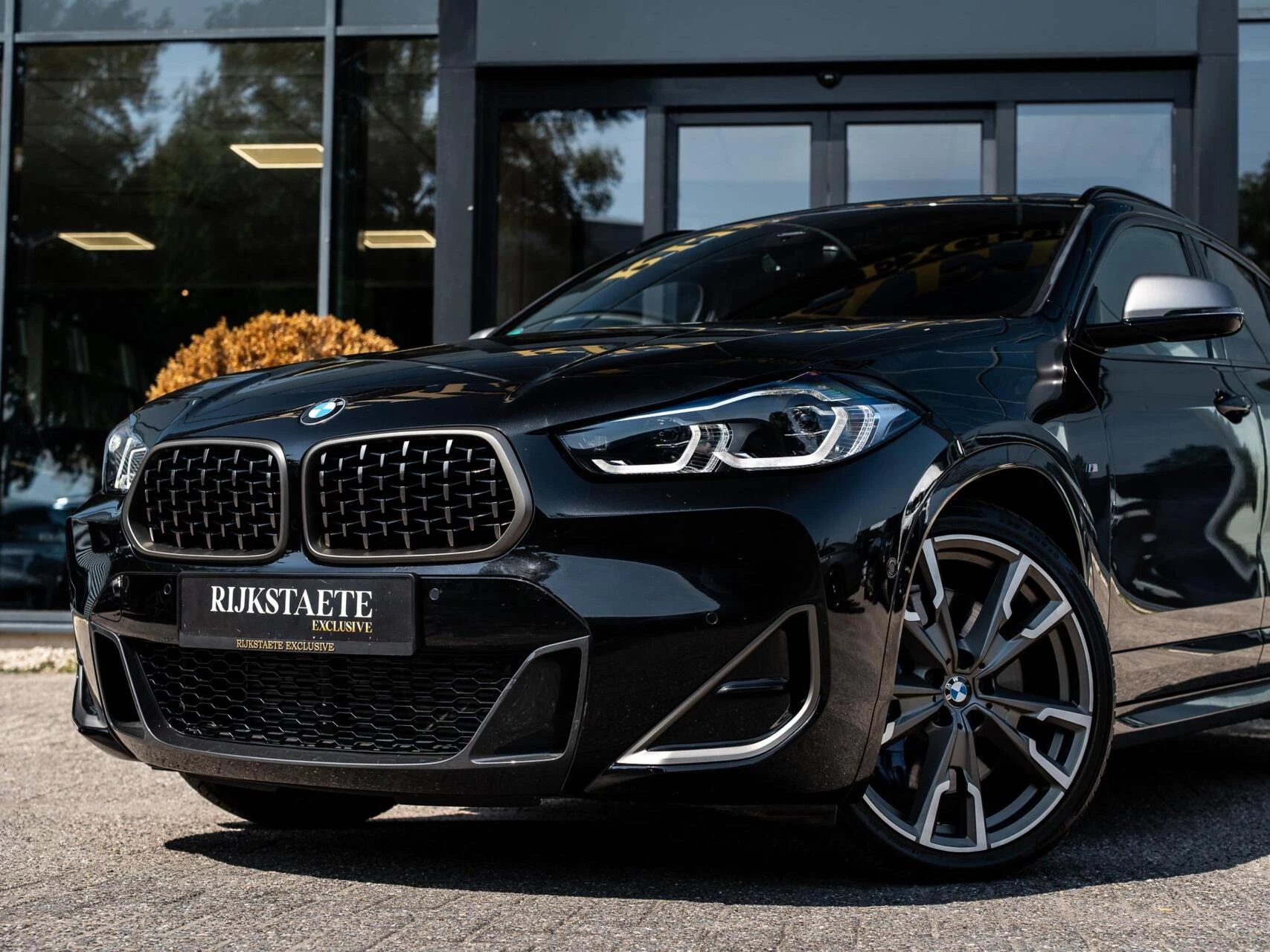 Hoofdafbeelding BMW X2