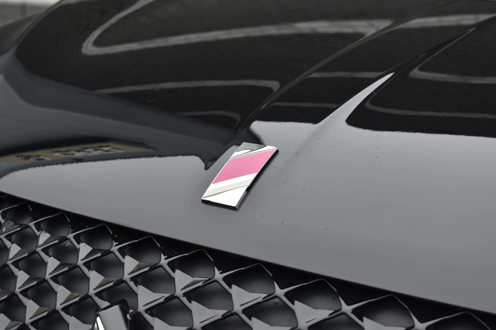 Hoofdafbeelding DS DS 3