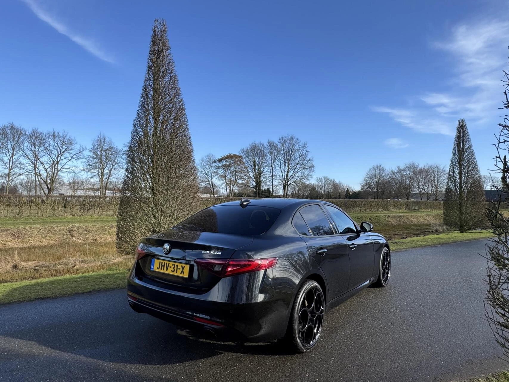 Hoofdafbeelding Alfa Romeo Giulia