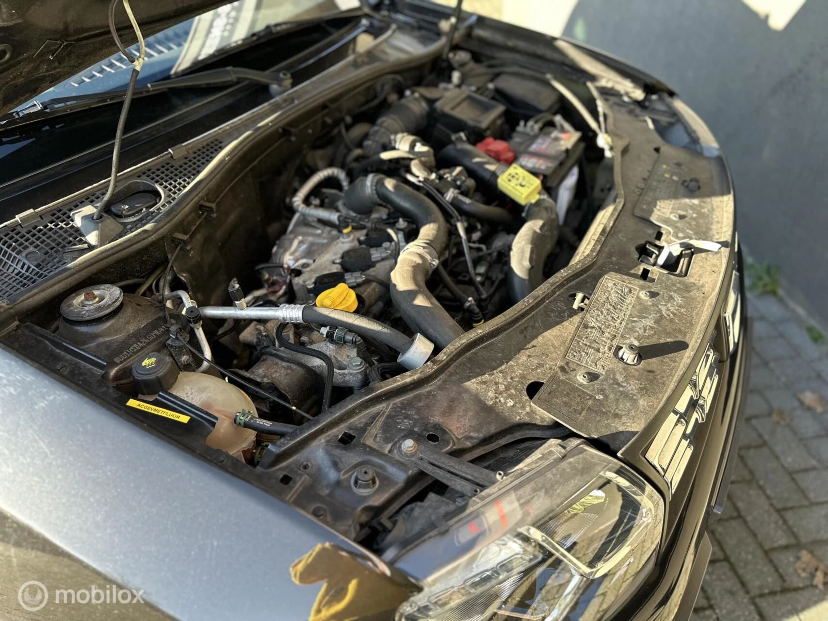 Hoofdafbeelding Dacia Duster