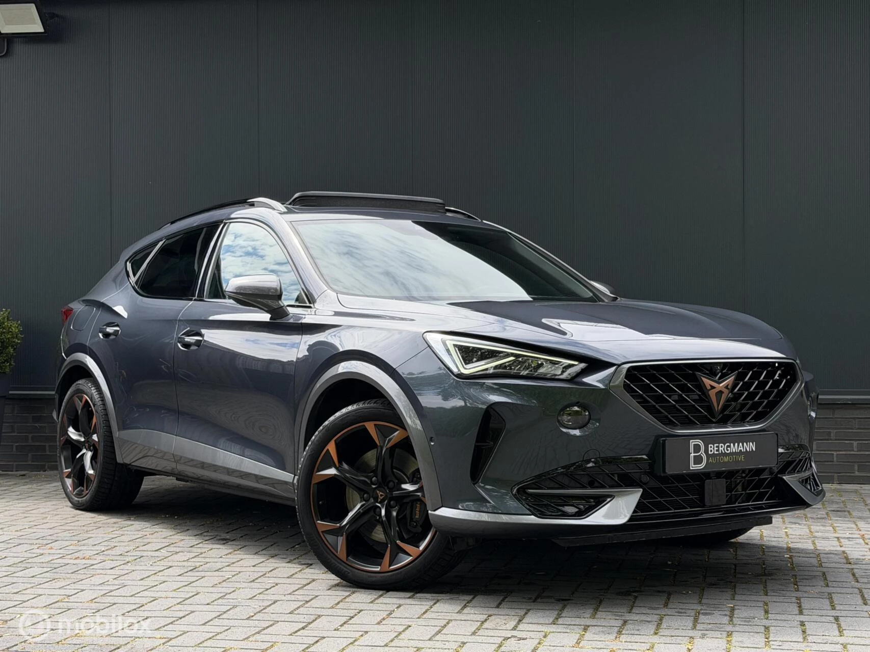 Hoofdafbeelding CUPRA Formentor