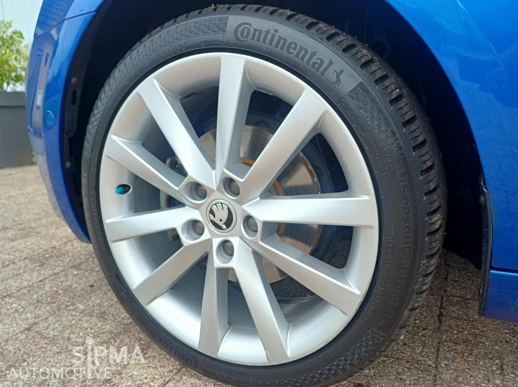Hoofdafbeelding Škoda Octavia