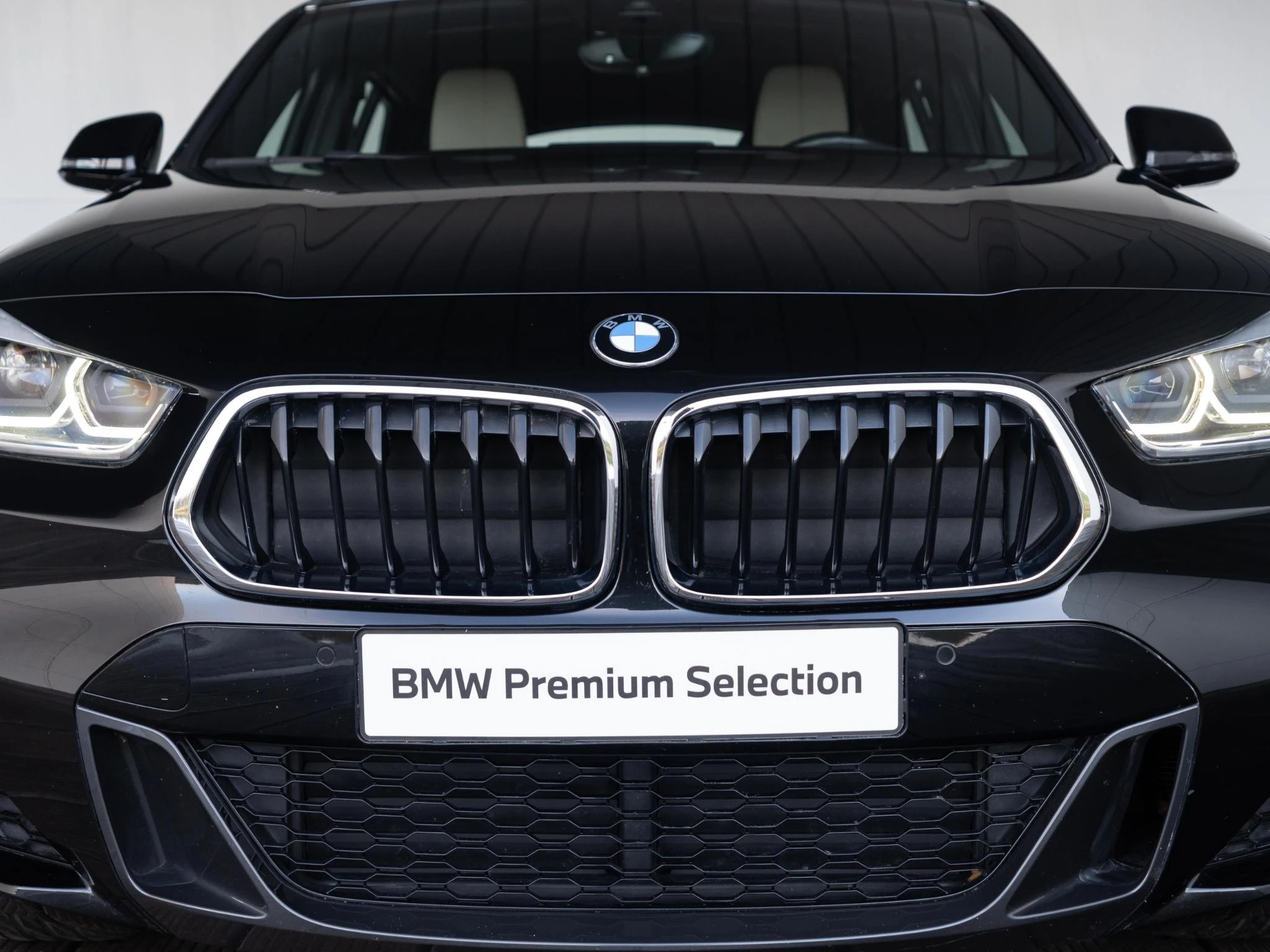 Hoofdafbeelding BMW X2