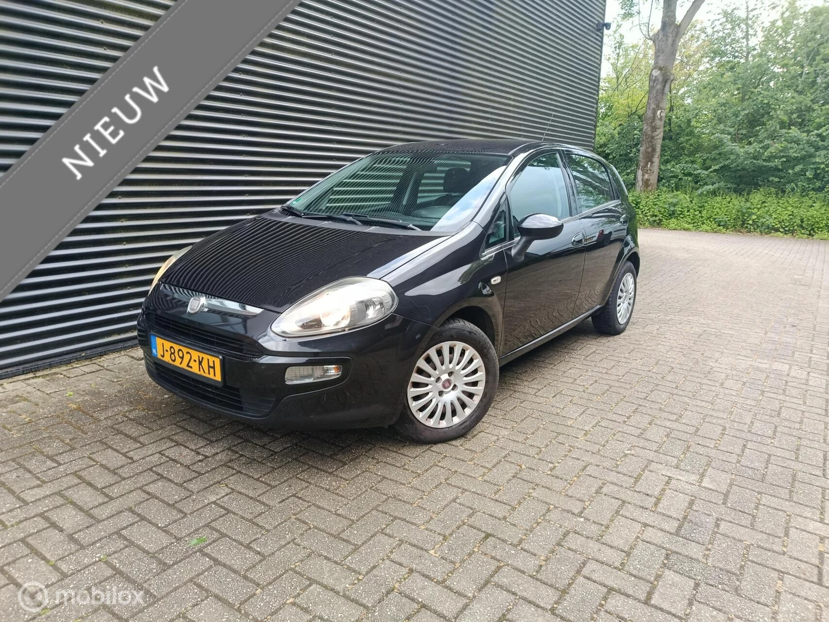Hoofdafbeelding Fiat Punto