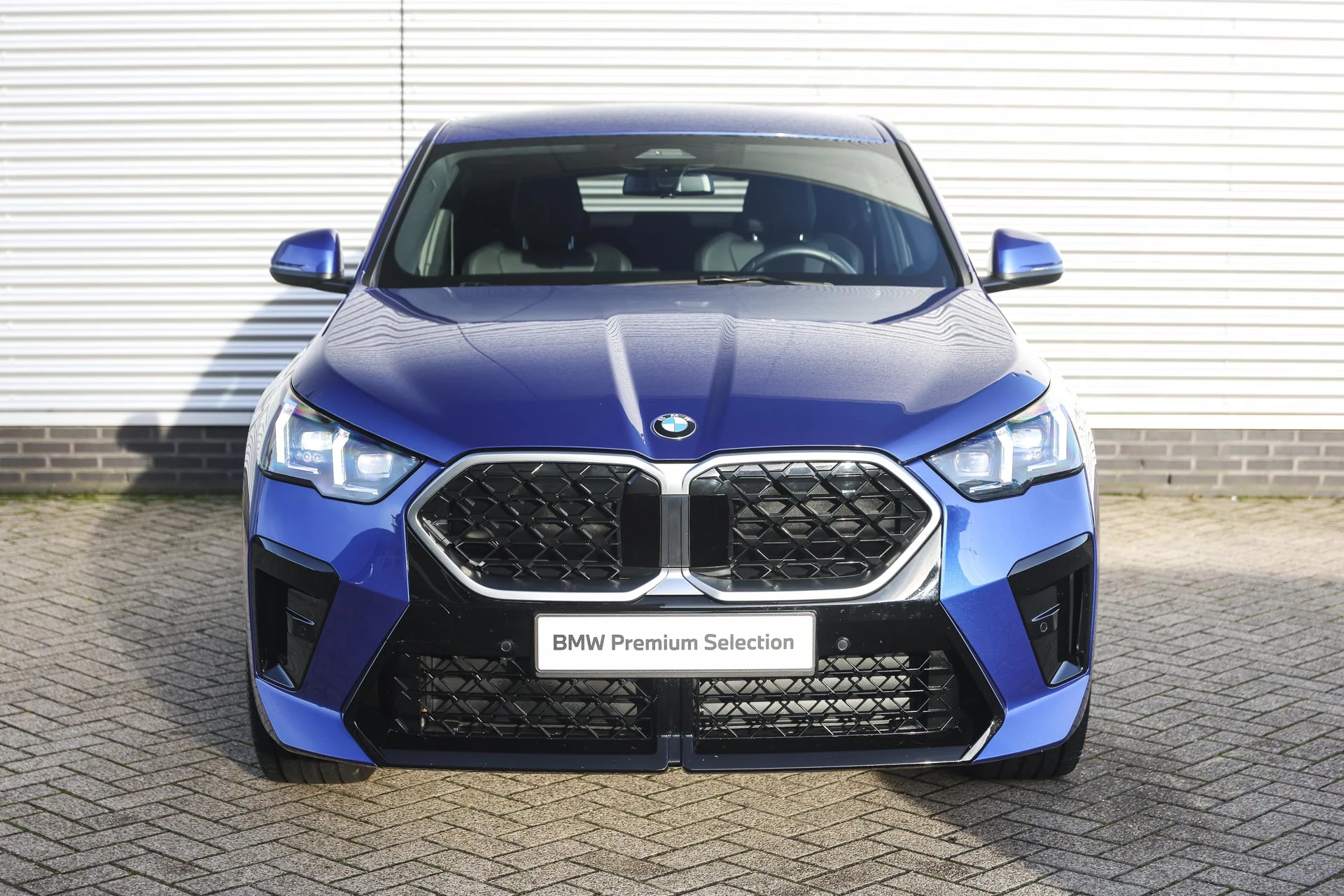 Hoofdafbeelding BMW X2