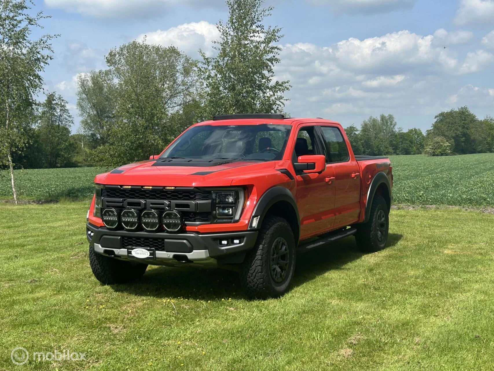 Hoofdafbeelding Ford F-150