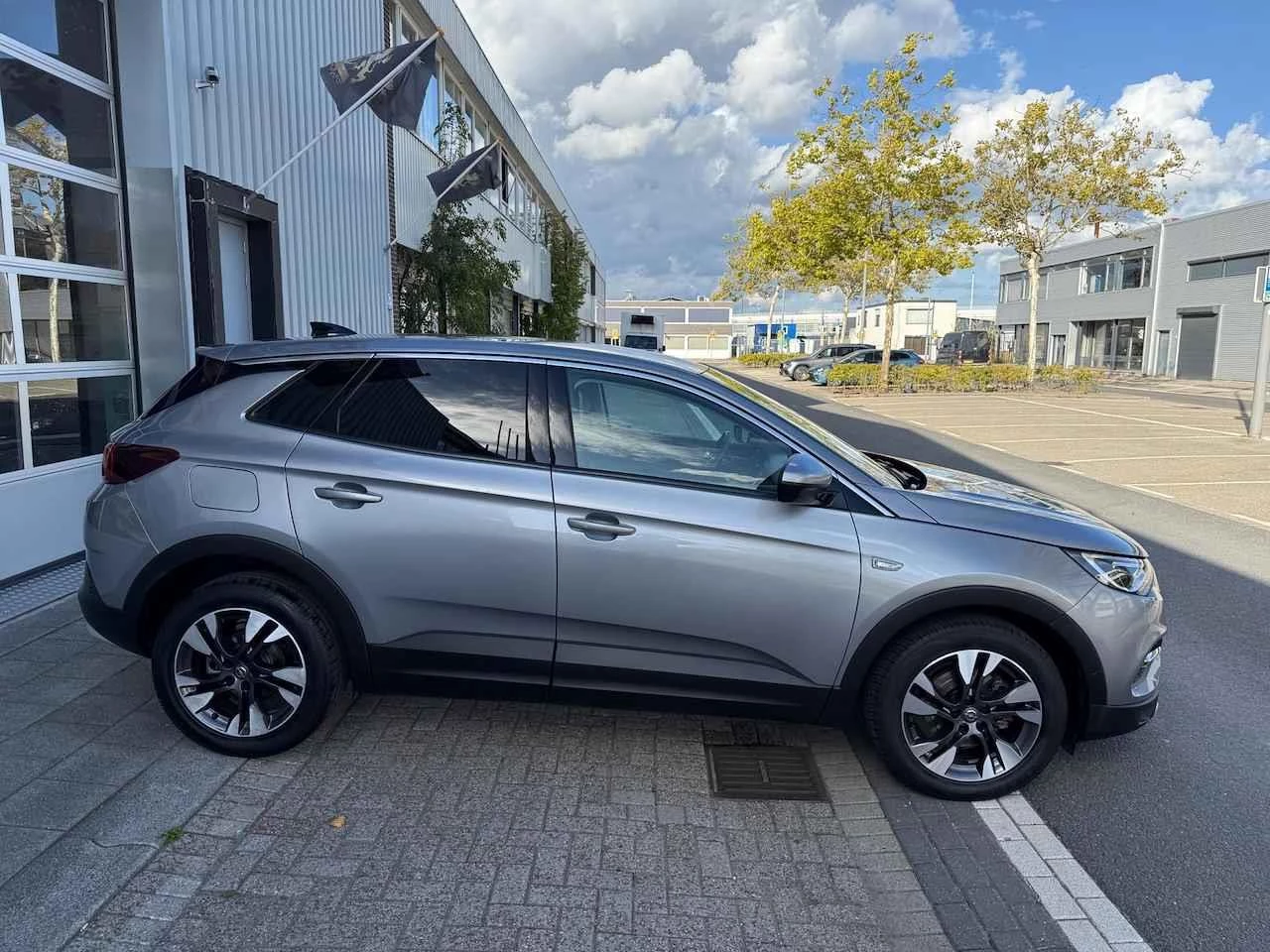 Hoofdafbeelding Opel Grandland X