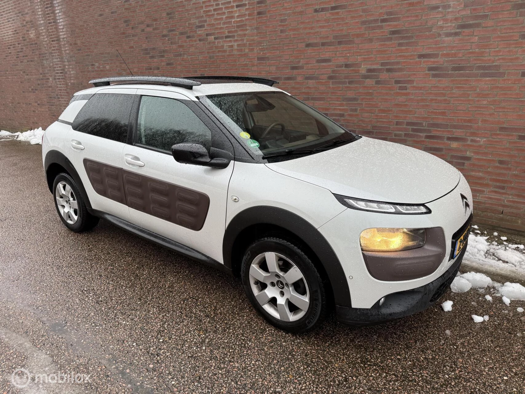 Hoofdafbeelding Citroën C4 Cactus