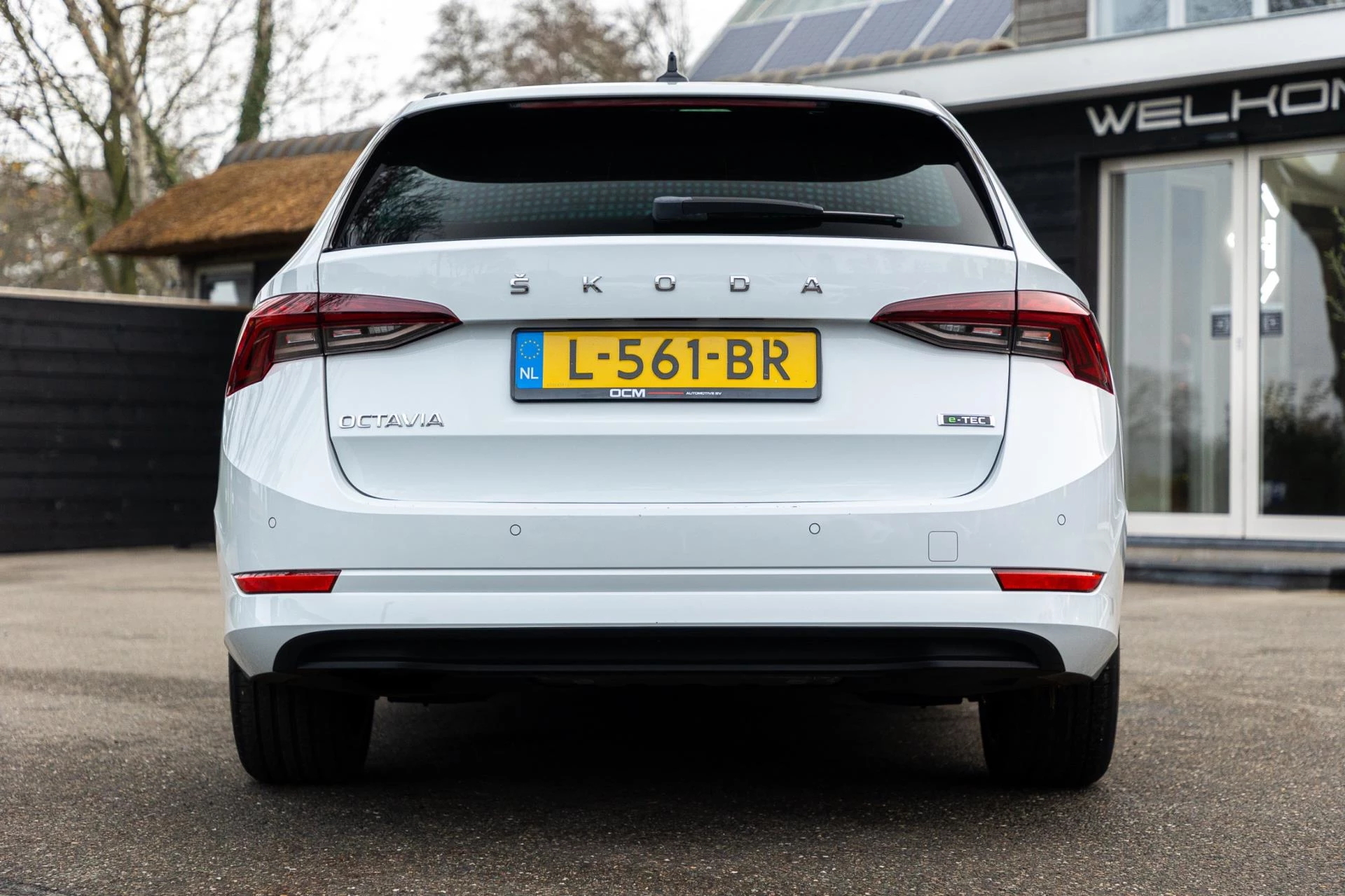 Hoofdafbeelding Škoda Octavia