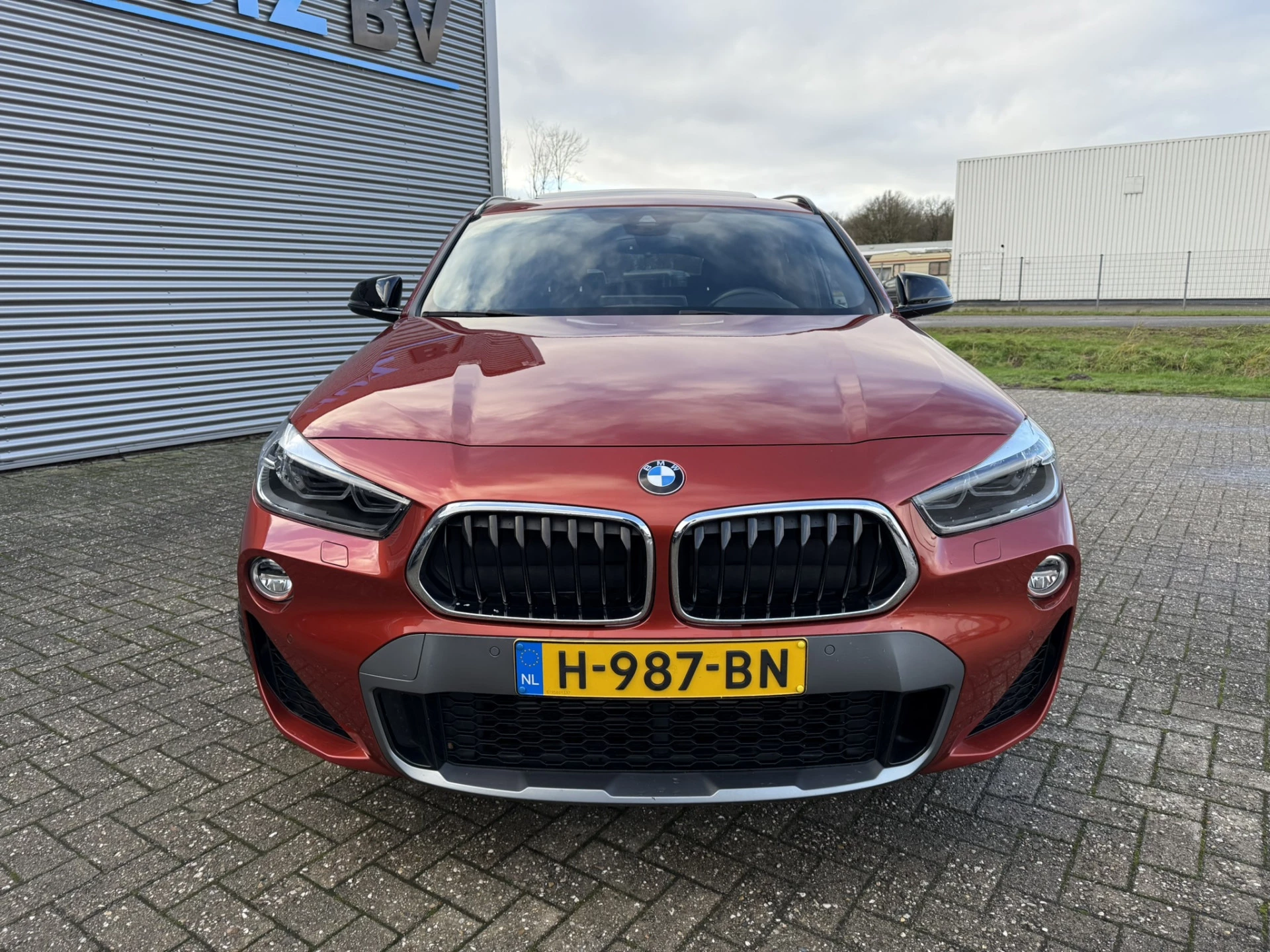 Hoofdafbeelding BMW X2