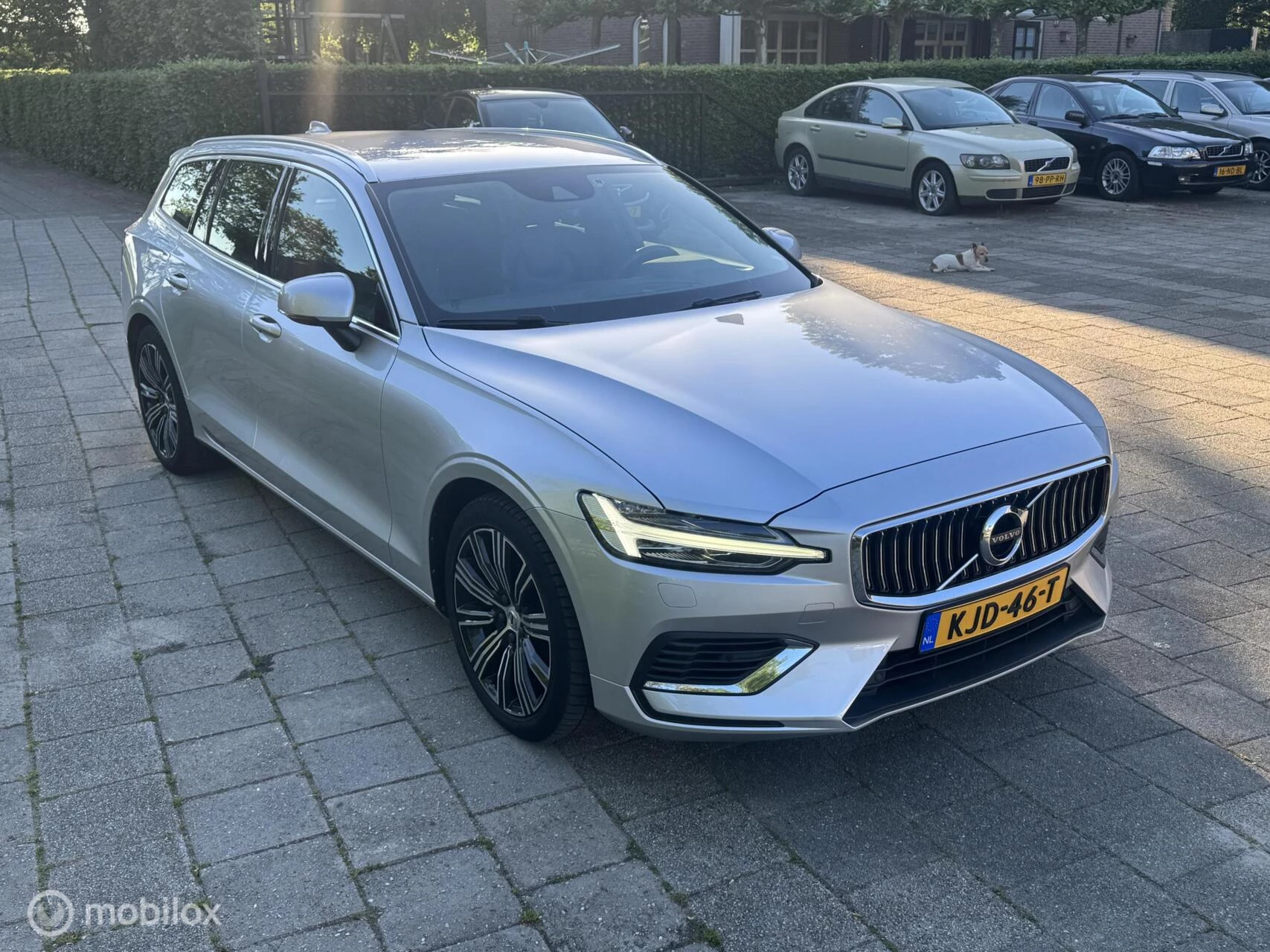 Hoofdafbeelding Volvo V60