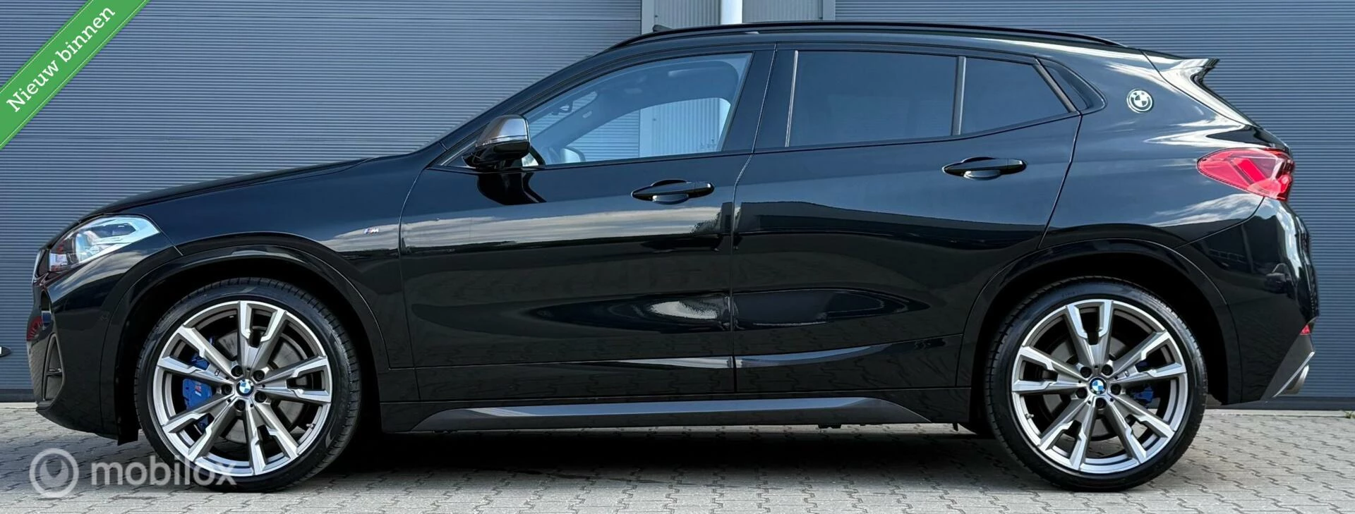 Hoofdafbeelding BMW X2