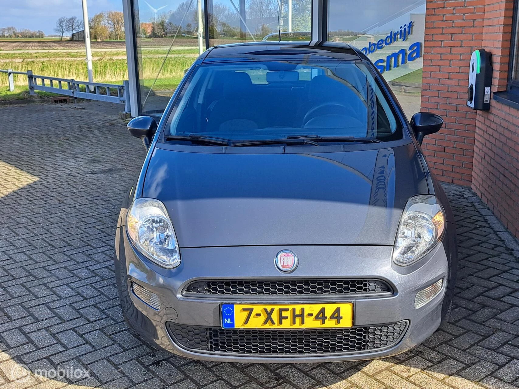 Hoofdafbeelding Fiat Punto
