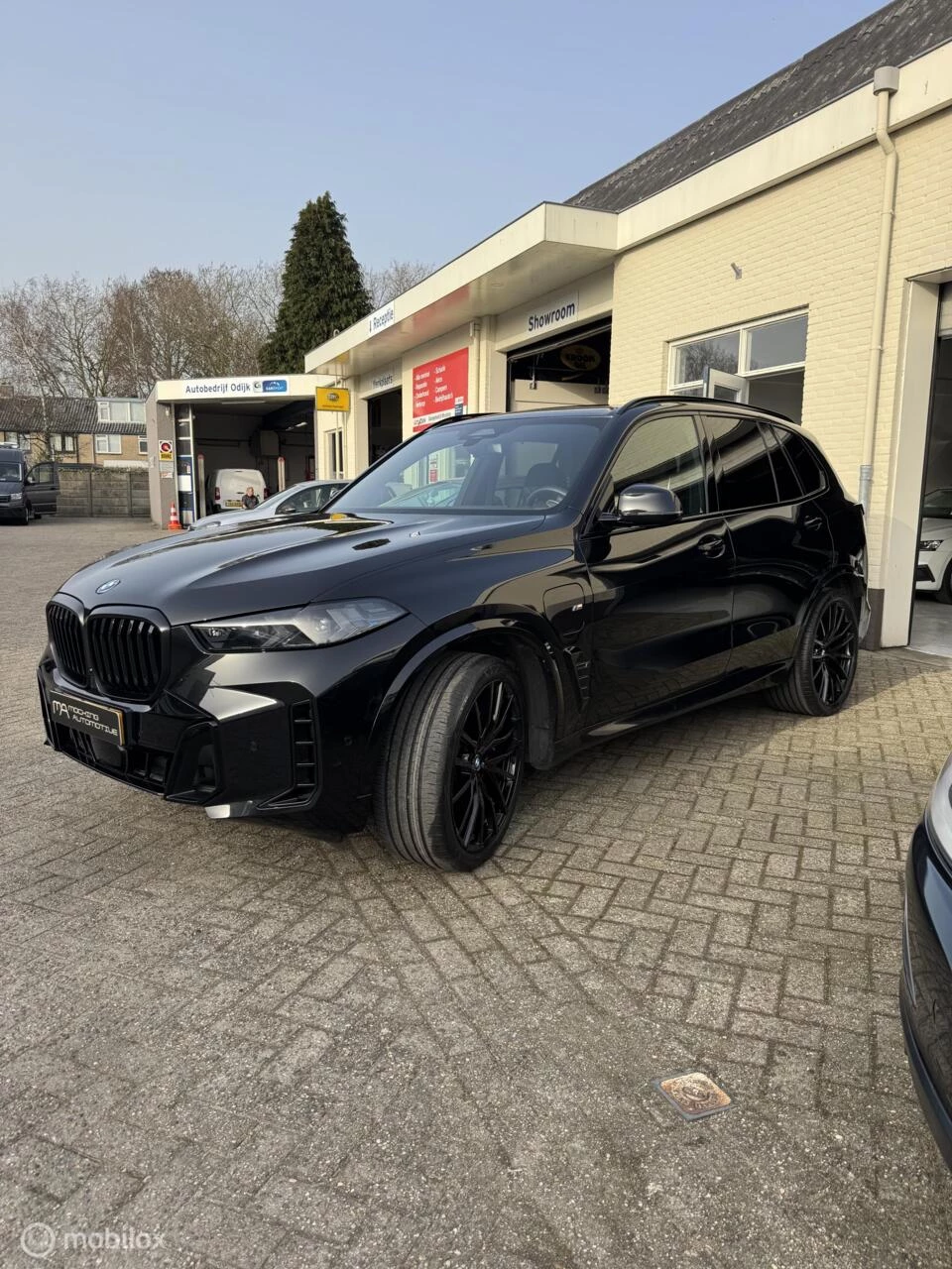 Hoofdafbeelding BMW X5