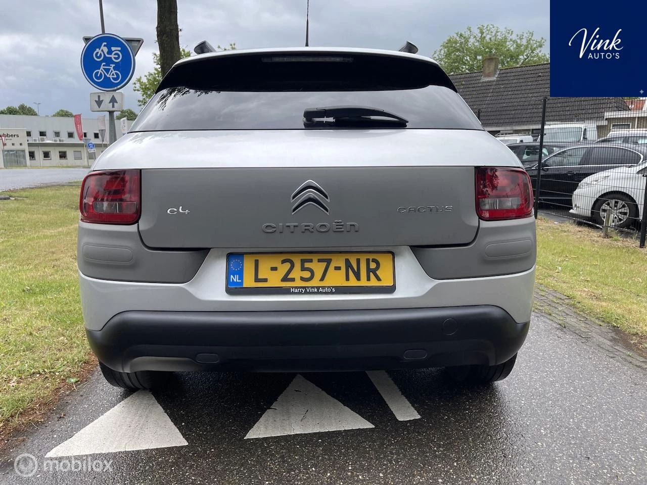 Hoofdafbeelding Citroën C4 Cactus