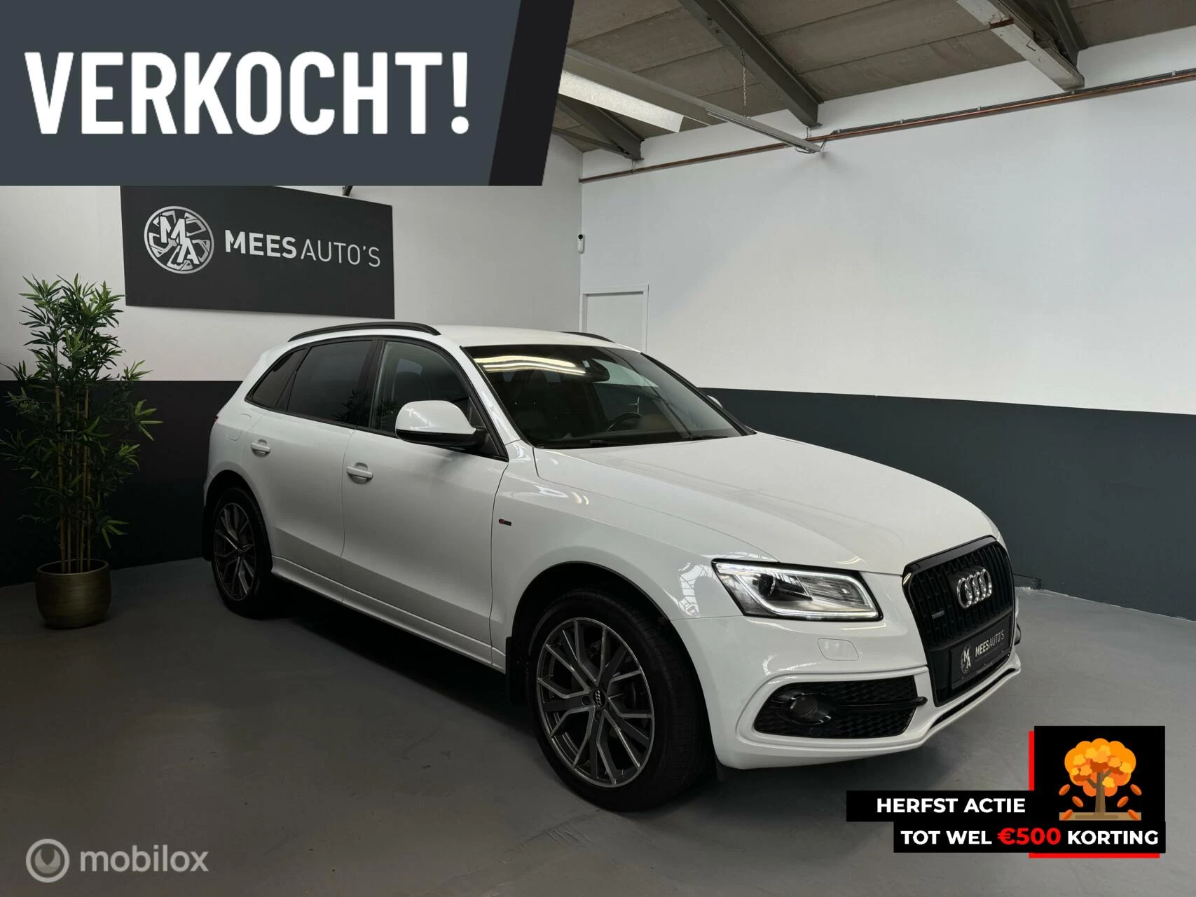 Hoofdafbeelding Audi Q5