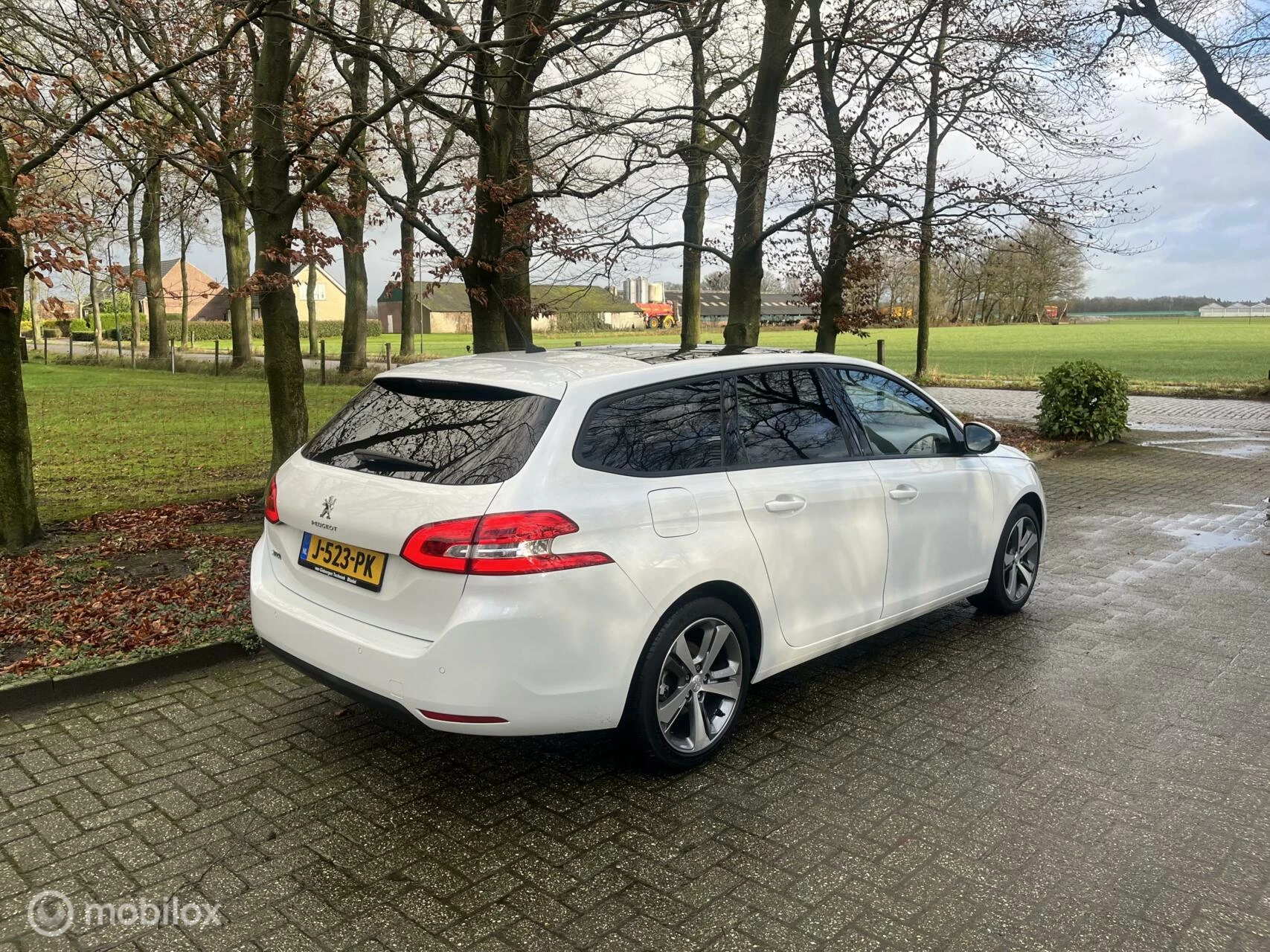 Hoofdafbeelding Peugeot 308