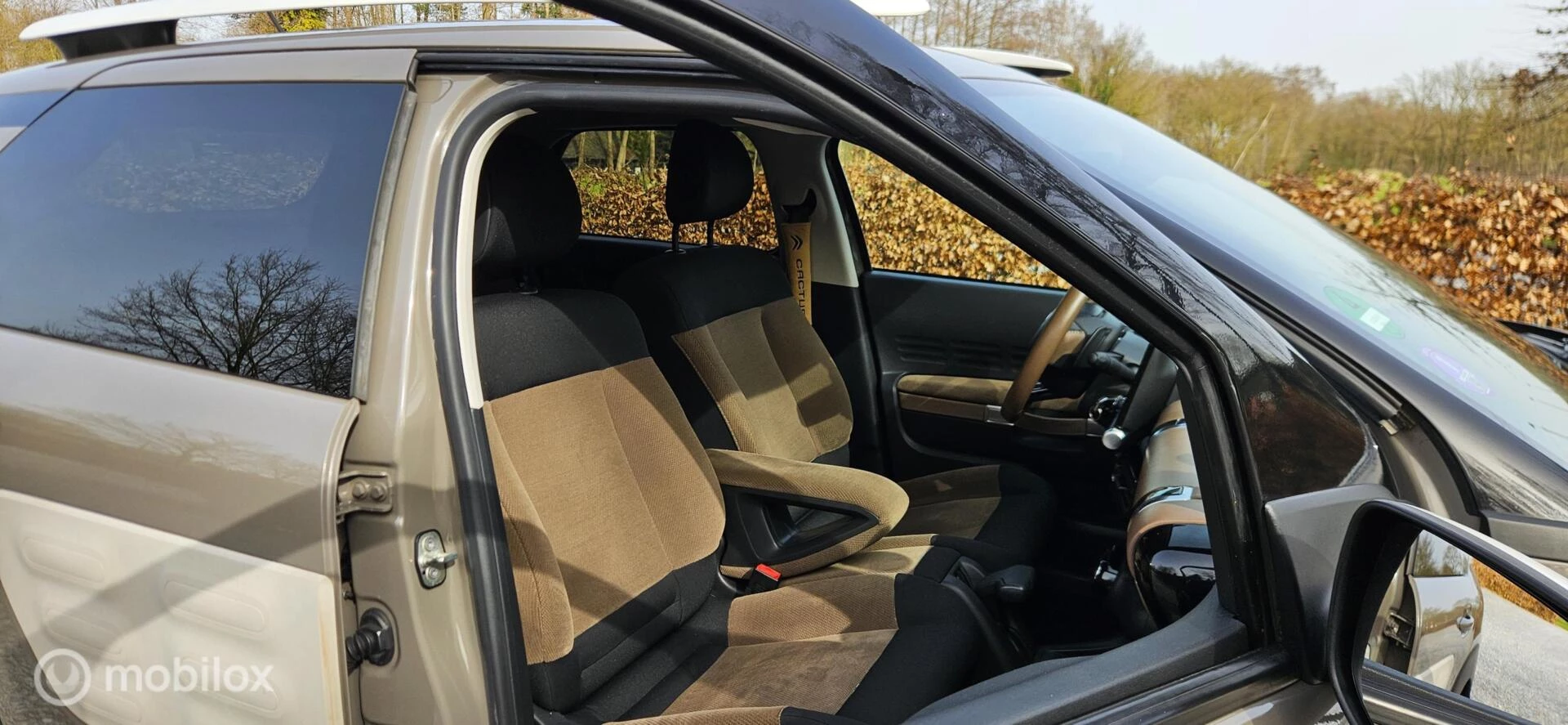 Hoofdafbeelding Citroën C4 Cactus