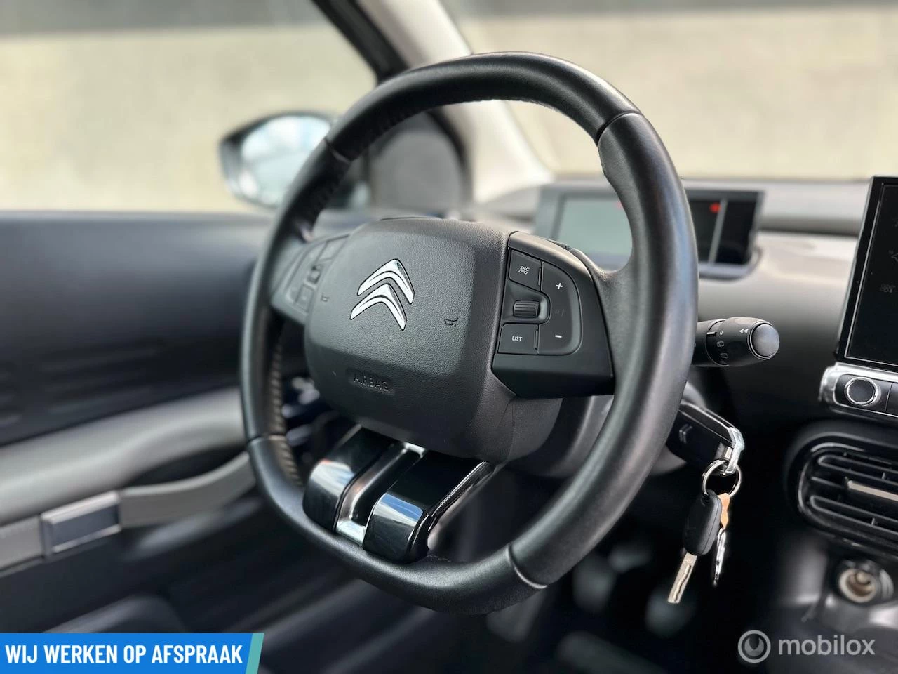 Hoofdafbeelding Citroën C4 Cactus