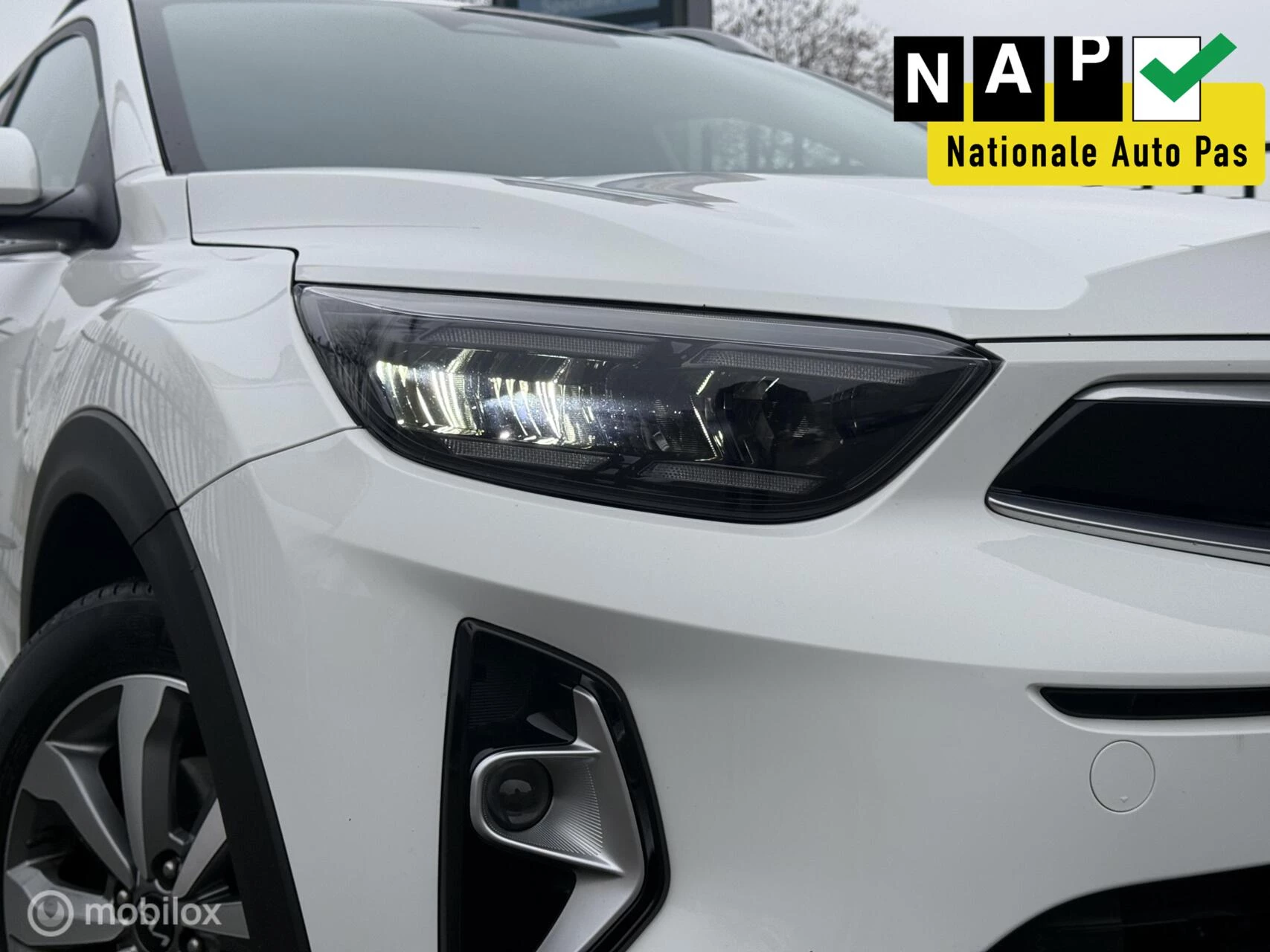 Hoofdafbeelding Kia Stonic