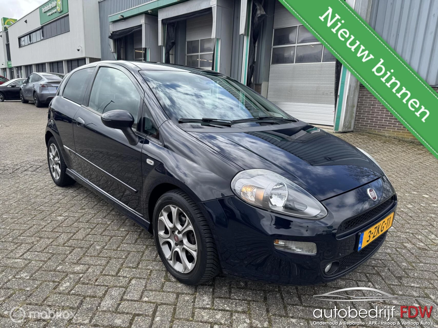 Hoofdafbeelding Fiat Punto