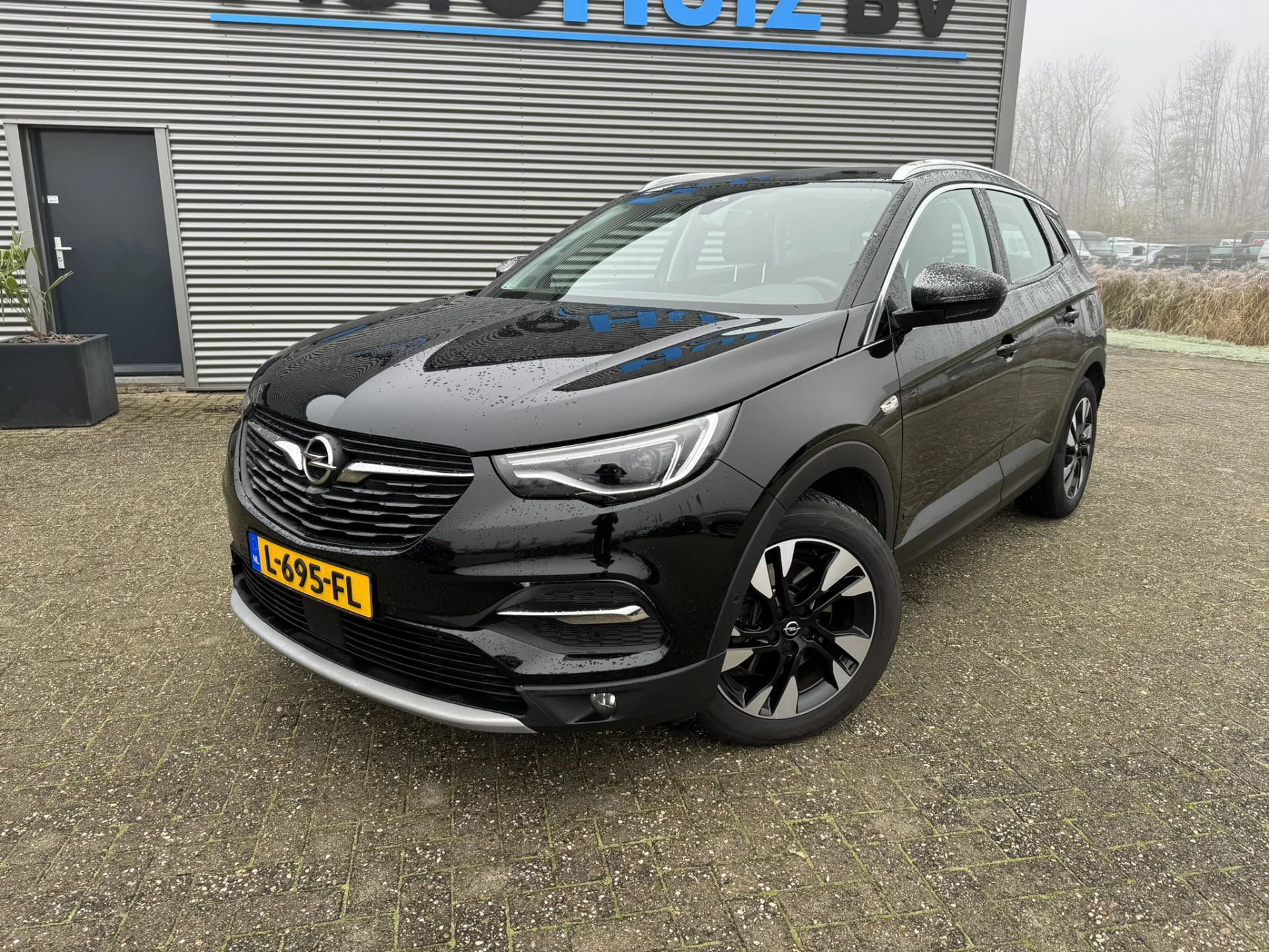 Hoofdafbeelding Opel Grandland X