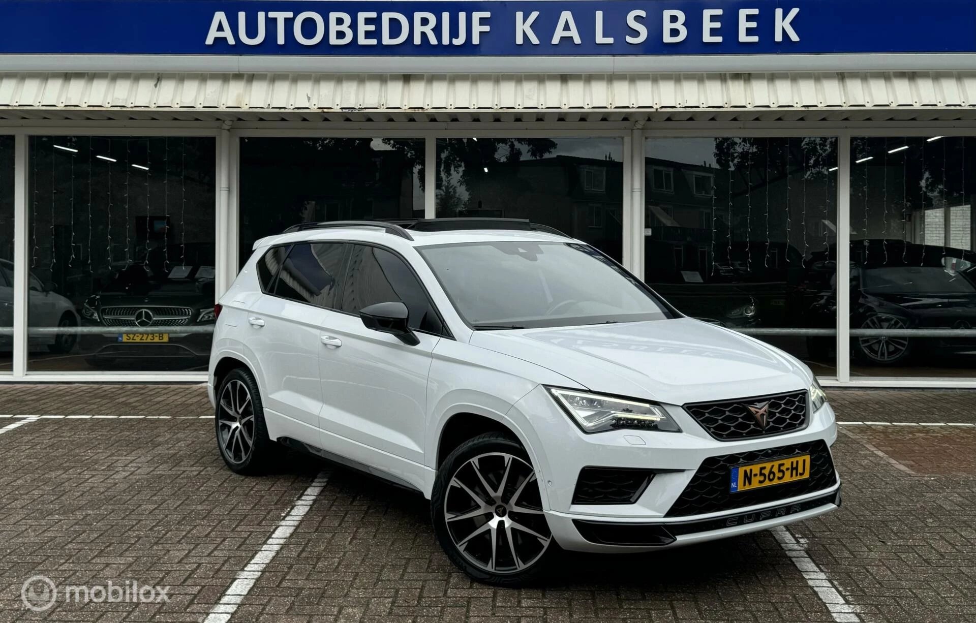 Hoofdafbeelding CUPRA Ateca