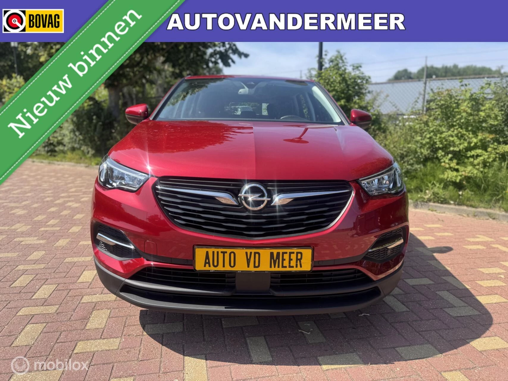 Hoofdafbeelding Opel Grandland X